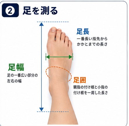 足長・足幅・足囲の測定位置を示した足の図